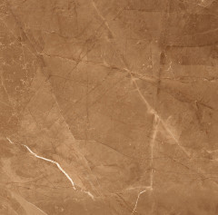 Elegant Armani Gold Керамогранит 60х60 Полированный