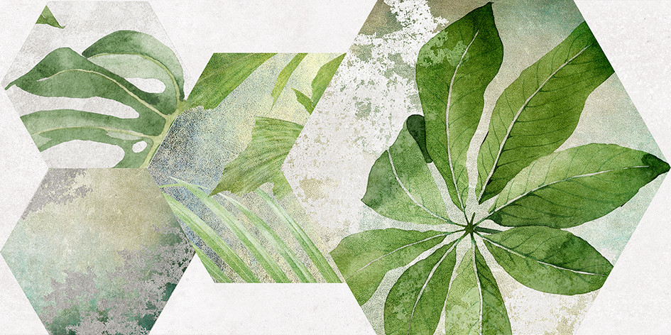 Focus Плитка настенная зелёный ботаника 34090 25х50