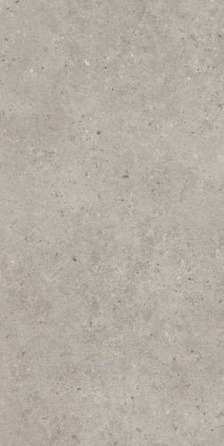 Риккарди Керамогранит серый светлый матовый обрезной SG519920R 60х119,5