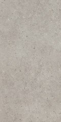 Риккарди Керамогранит серый светлый матовый обрезной SG519920R 60х119,5