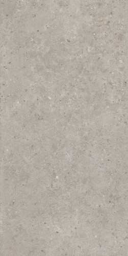 Риккарди Керамогранит серый светлый матовый обрезной SG519920R 60х119,5