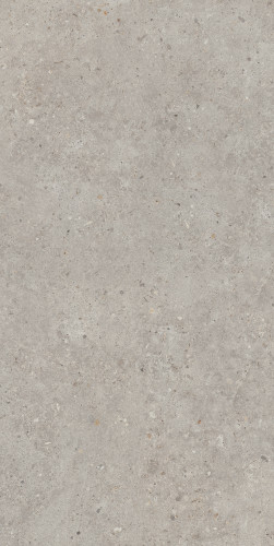 Риккарди Керамогранит серый светлый матовый обрезной SG519920R 60х119,5