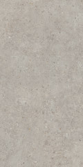 Риккарди Керамогранит серый светлый матовый обрезной SG519920R 60х119,5