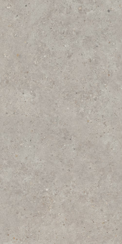 Риккарди Керамогранит серый светлый матовый обрезной SG519920R 60х119,5