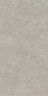 Риккарди Керамогранит серый светлый матовый обрезной SG519920R 60х119,5