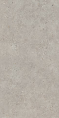 Риккарди Керамогранит серый светлый матовый обрезной SG519920R 60х119,5