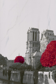 LVP Декор 3 20х30