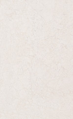 Сорбонна Плитка настенная беж 6355 25х40