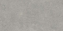 Newcon Керамогранит Серебристо-серый K945752R0001VTE0 30х60