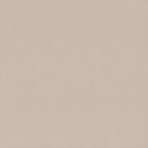 Сафьян Керамогранит беж SG153000N     40,2х40,2 (Орел)