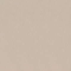 Сафьян Керамогранит беж SG153000N     40,2х40,2 (Орел)