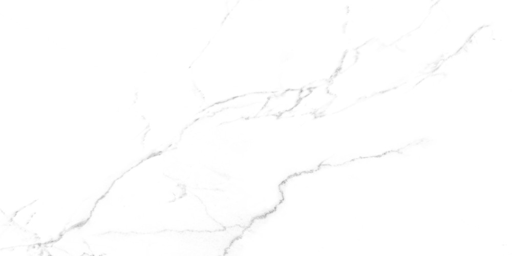 Discovery Blanco Керамогранит белый SG50002422R 59,5х119,1 полированный