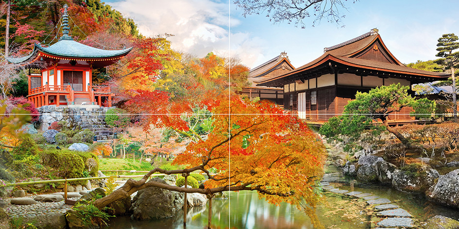 Japan Панно P4D301 80х40 (из 4 плиток)