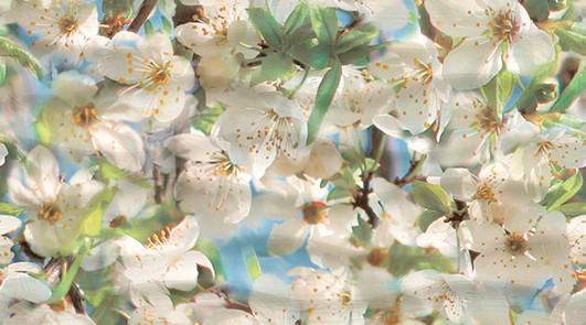 Dec Spring Panno A КПН16SpringA 25х45