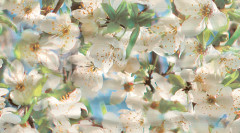 Dec Spring Panno A КПН16SpringA 25х45