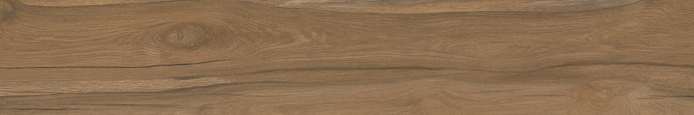 Selva керамогранит коричневый SG517700R 20х119,5