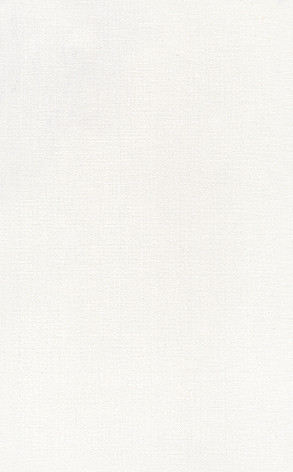 Ауленсия серый 6387 25х40