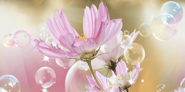 Космея Декор 10-04-85-165-1 25х50 (панно 1ч)