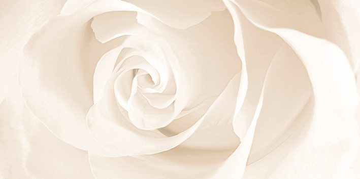 Effecta вставка бежевая (EC2C011) 29,8x59,8