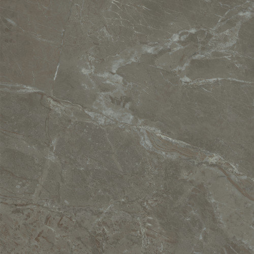 Кантата Керамогранит серый матовый SG172400N 40,2x40,2