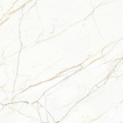 Europa Gold l Керамогранит белый 60x60 Матовый Карвинг