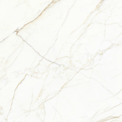 Europa Gold l Керамогранит белый 60x60 Матовый Карвинг