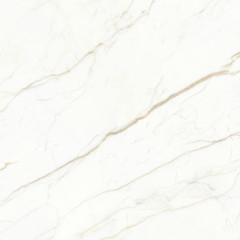 Europa Gold l Керамогранит белый 60x60 Матовый Карвинг