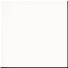 RW01 30х30 белый неполир.