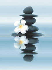 Dream Панно P2-3D185 30х40 (из 2-х пл.)