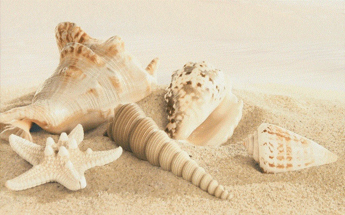 Amalfi sand decor 01 250х400 мм - 13 шт.