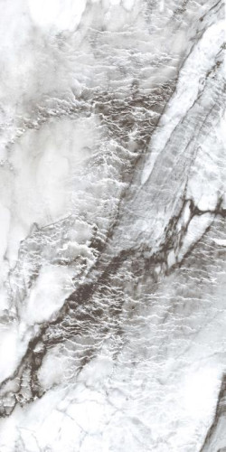 PR221 Керамогранит Acacia 60*120см polished 1,44м2 #