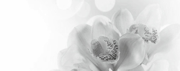 Элегия 7 Панно тип-1 20х50