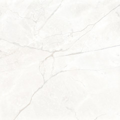 Connect Pearl Керамогранит светло-серый SG624920R 60х60 матовый