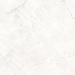 Connect Pearl Керамогранит светло-серый SG624920R 60х60 матовый