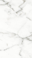 Каррарский Мрамор Плитка настенная универсальный 1045-0115 25х45