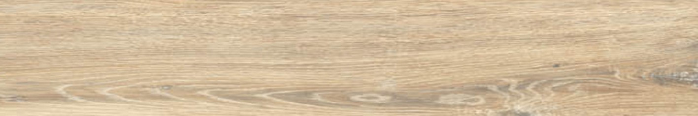 BG 02 19,4x120 неполир