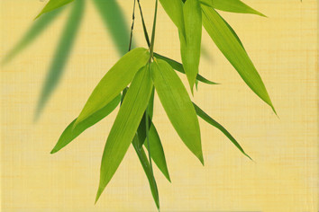 OLL Декор 3 20х30