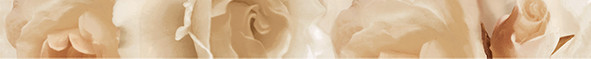 Mold Rosario Бордюр 5х50