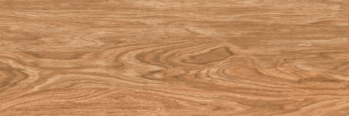 Village Керамогранит Коричневый K-215/MR/20x60