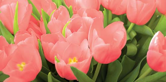 Элара Коралл Декор Триумф - 405х201 мм/13 шт