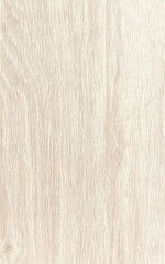 Santiago venge wall 01 250х400 мм/75,6