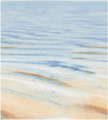 Dec Starfish 2 Panno (панно из 2-х шт) КПН16Starfish2 50х45