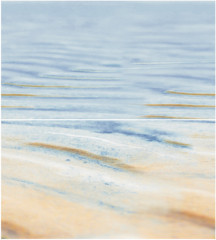 Dec Starfish 2 Panno (панно из 2-х шт) КПН16Starfish2 50х45