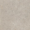 Риккарди Керамогранит бежевый матовый обрезной SG653820R 60x60