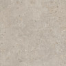 Риккарди Керамогранит бежевый матовый обрезной SG653820R 60x60