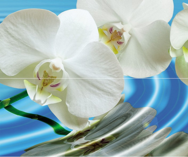 Water Garden А Панно (из 2пл) 60х50