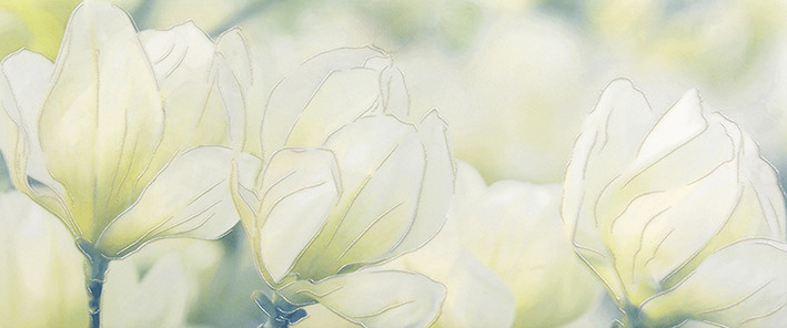 Rapsodia olive 01 Декор 25х60