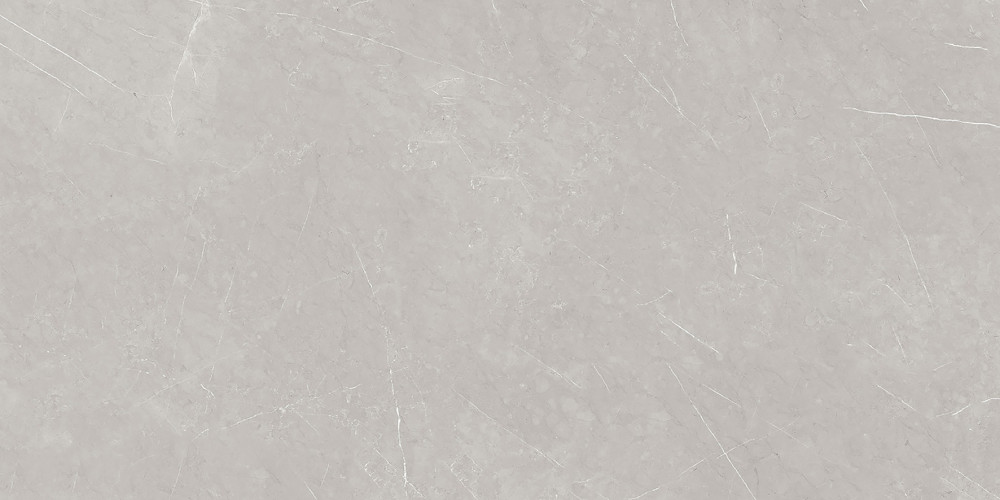 French Smoke Керамогранит светло-серый 60x120 Полированный