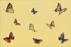 OLG Декор 2 20х30