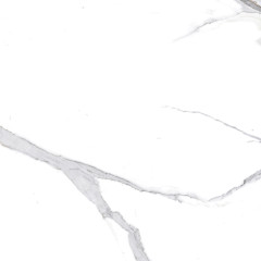 Calacatta Splendid Silver Керамогранит белый 60х60 Матовый